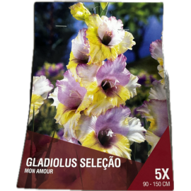 S.BOLBO SAQUETA DC GALADIOLO SELEÇÃO MON AMOUR- 5 BOLBOS
