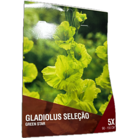 S.BOLBO SAQUETA DC GALADIOLO SELEÇÃO GREEN STAR- 5 BOLBOS