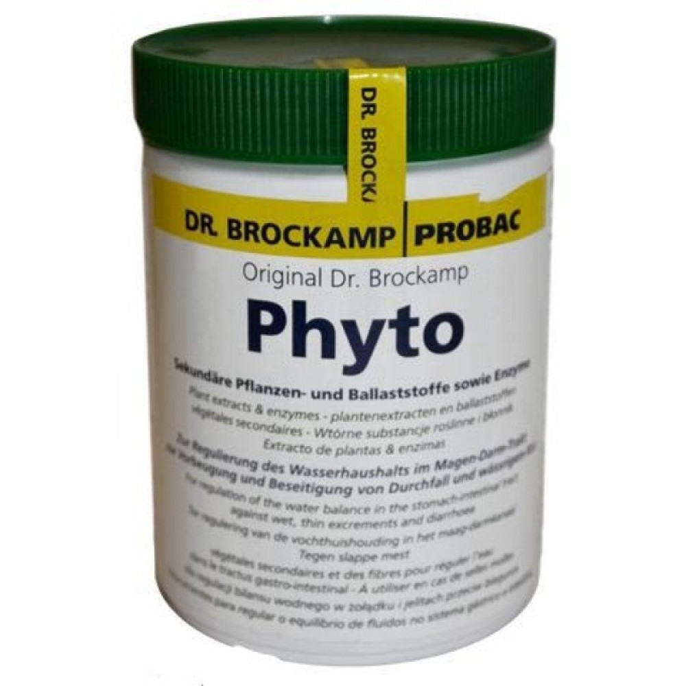 PHYTO (REGULADOR GASTRICO E INTESTINOS) - 500 GR