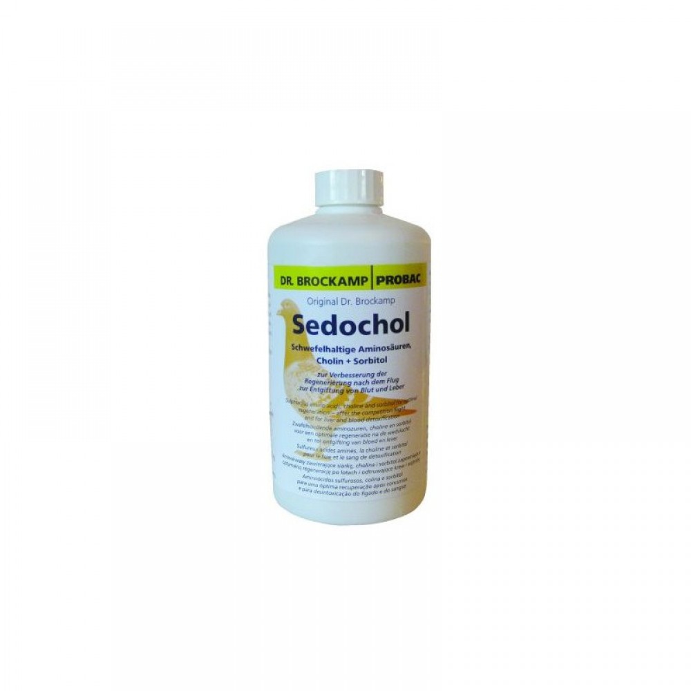 SEDOCHOL (AMINOACIDOS ) - 500 ML