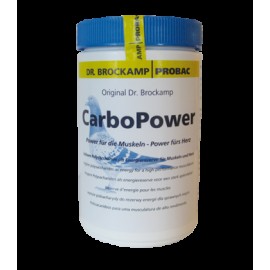 CARBO POWER ( SUPORTE MUSCULAR ) - 500 GR