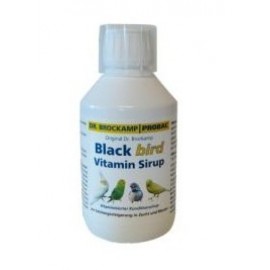 BLACK BIRD VITAMIN SIRUP (XAROPE VITAMINADO ) - 250 ML
