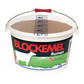 BLOCO BLOCKEMEL EQUILIBRE -      25KG