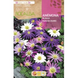 S.BOLBO RO.GAVETA 200 ANEMONAS BLANDA MISTURA DE CORES   - BUAB1030