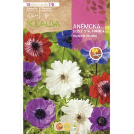 S.BOLBO RO.GAVETA 200 ANEMONAS DOBRADAS STA BRIGIDA MISTURA DE CORES - BUAD1125