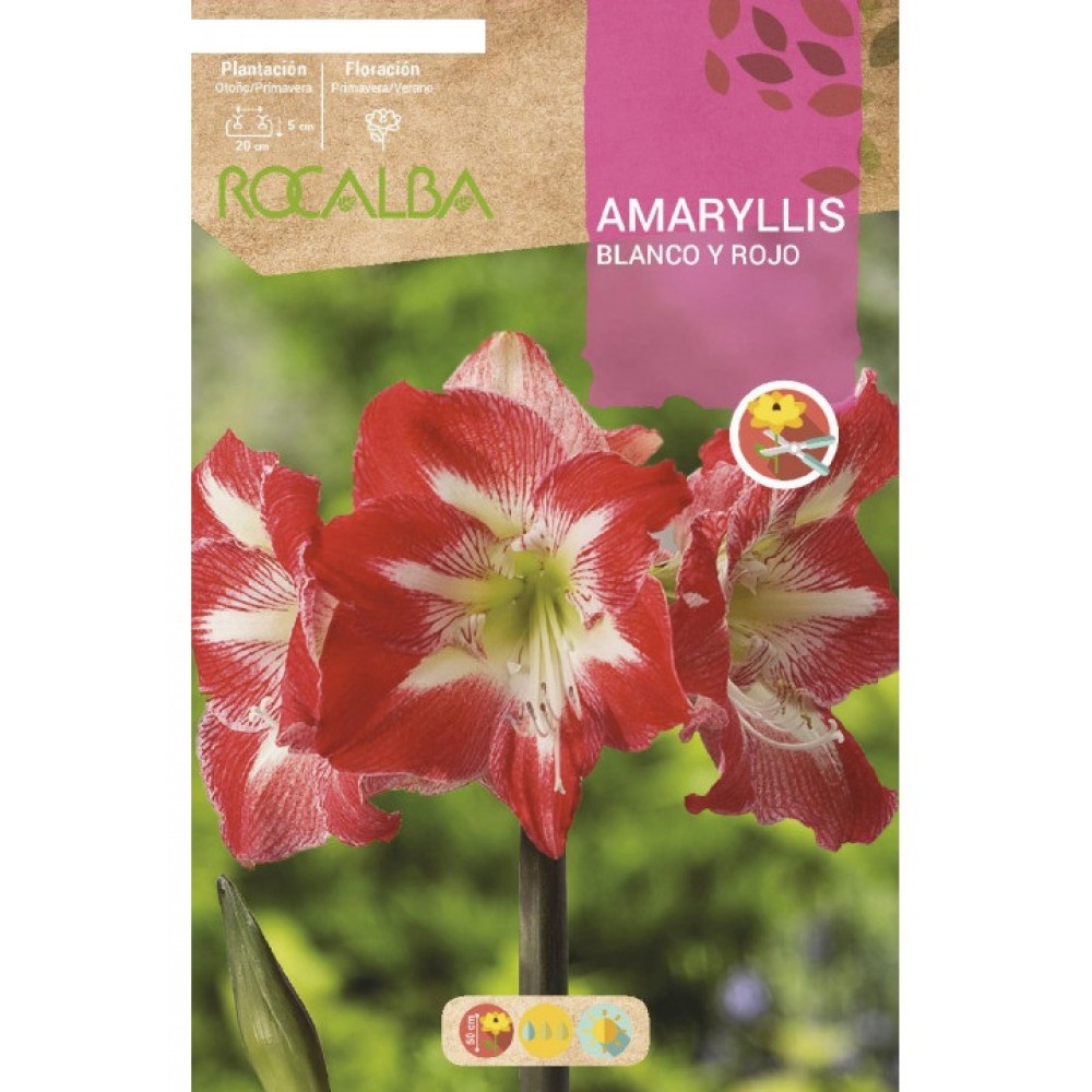 S.BOLBO RO.GAVETA 15 AMARYLLIS BRANCO/ROSA  -BUAM1010