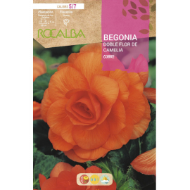 S.BOLBO RO.GAVETA BEGONIA FLOR DE CAMELIA COBRE-BUBD2700