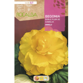 S.BOLBO RO.GAVETA BEGONIA FLOR DE CAMELIA AMAREL-BUBD2705
