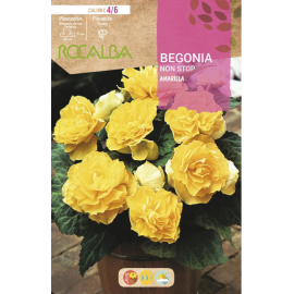 S.BOLBO RO.GAVETA BEGONIA NON STOP AMARELO - BUBN2880