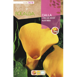 S.BOLBO RO.GAVETA JARROS - AMARELO BUCA3180
