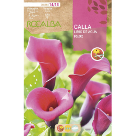 S.BOLBO RO.GAVETA JARROS - ROSA ESCURO BUCA3185