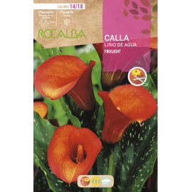 S.BOLBO RO.GAVETA JARROS - LARANJA BUCA3190