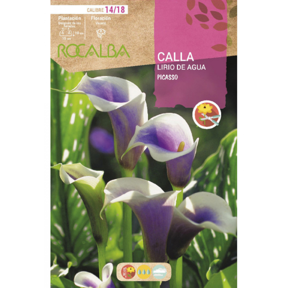 S.BOLBO RO.GAVETA JARROS - LILAS E BRANCO BUCA3195