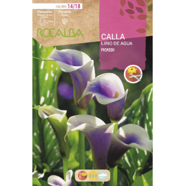 S.BOLBO RO.GAVETA JARROS - LILAS E BRANCO BUCA3195