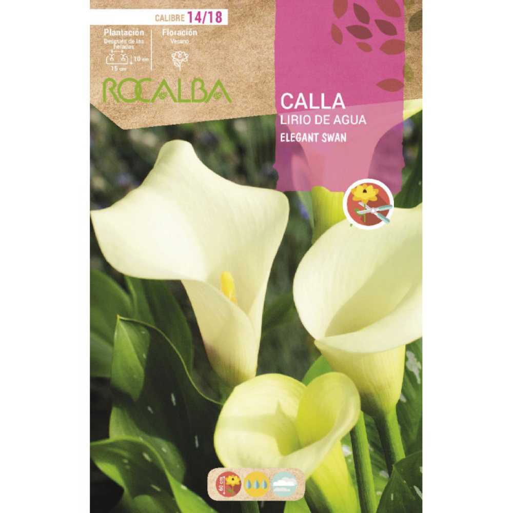 S.BOLBO RO.GAVETA JARROS - BRANCO BUCA3205