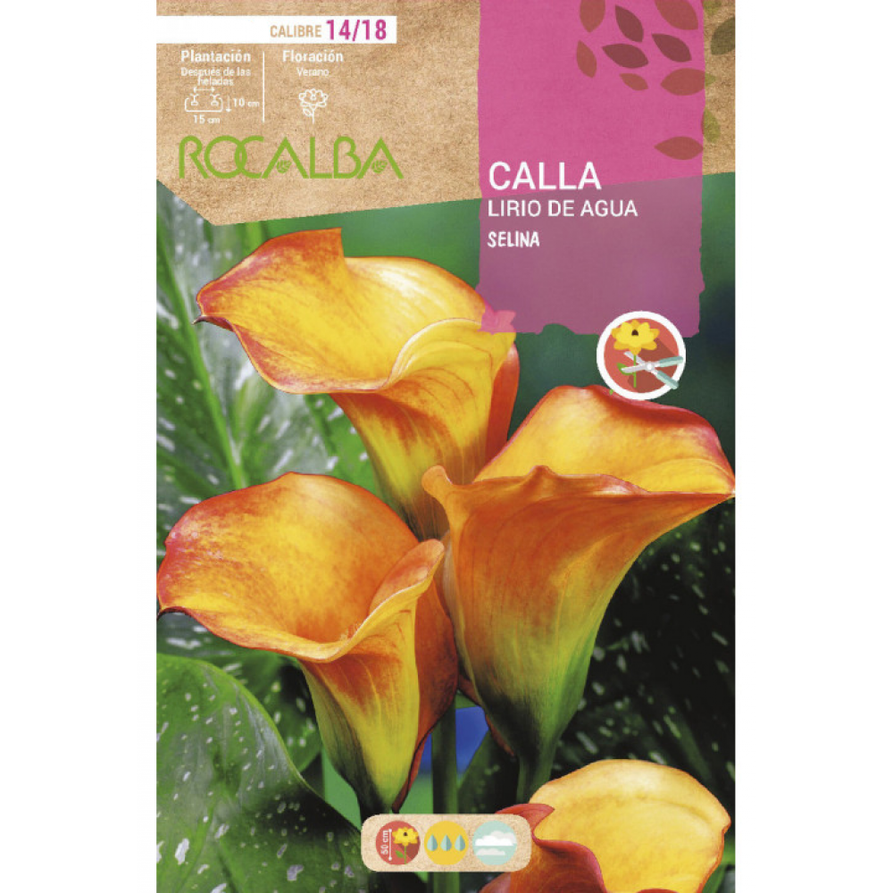 S.BOLBO RO.GAVETA JARROS - AMARELO E LARANJA BUCA3210