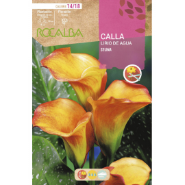S.BOLBO RO.GAVETA JARROS - AMARELO E LARANJA BUCA3210