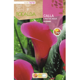 S.BOLBO RO.GAVETA JARROS - ROSA BUCA3215