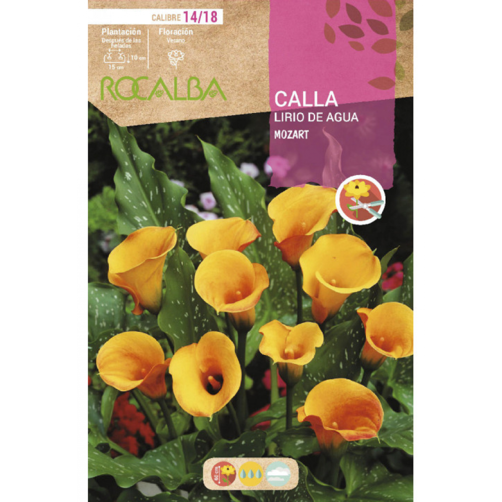 S.BOLBO RO.GAVETA JARROS - AMARELO BUCA3220