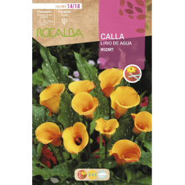S.BOLBO RO.GAVETA JARROS - AMARELO BUCA3220