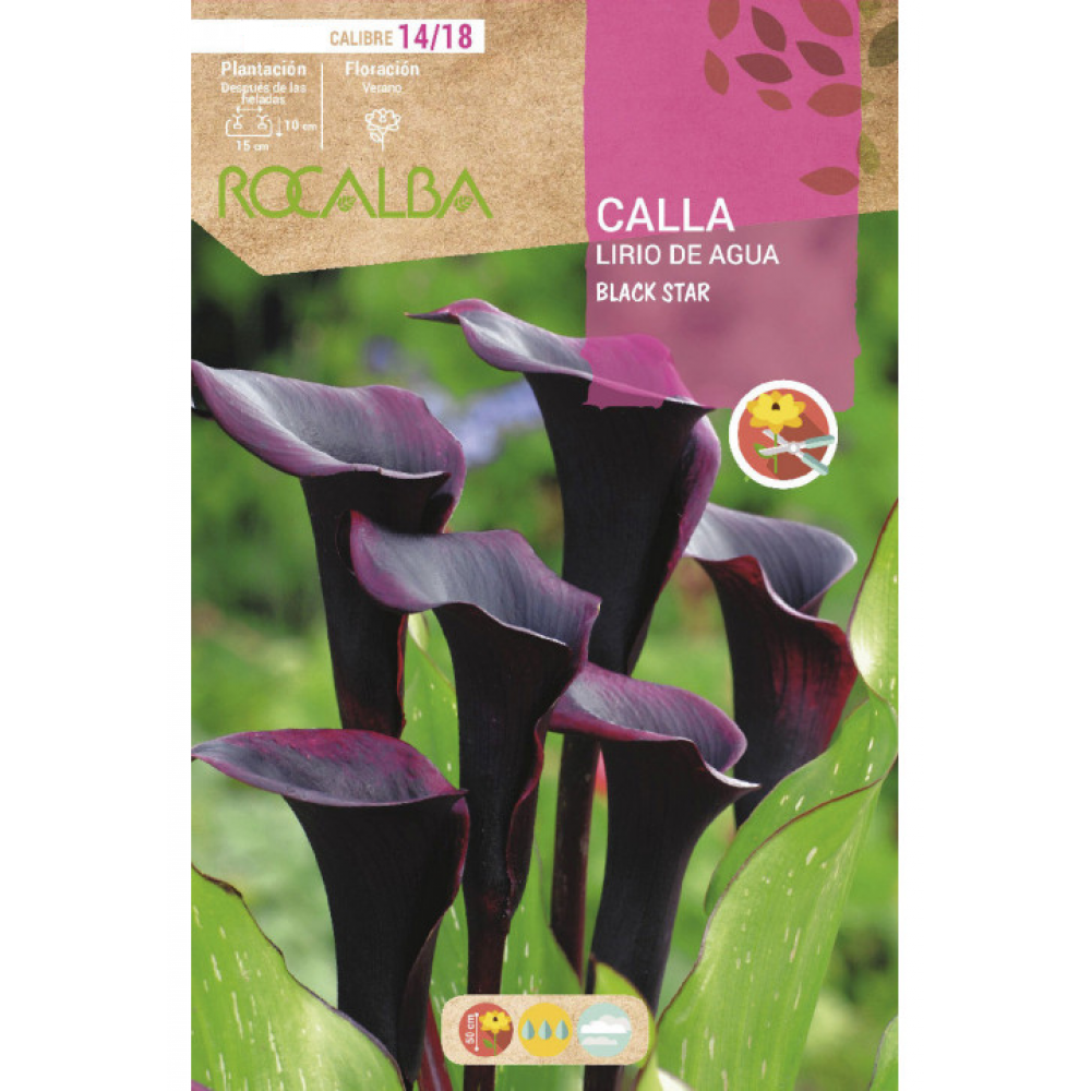 S.BOLBO RO.GAVETA JARROS - NEGRO BUCA3225