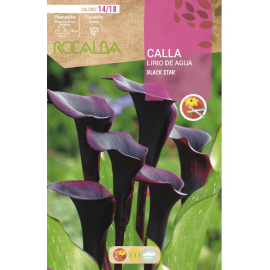 S.BOLBO RO.GAVETA JARROS - NEGRO BUCA3225
