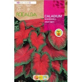 S.BOLBO RO.GAVETA CALADIUM BOMBSHELL