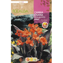 S.BOLBO RO.GAVETA CANAS ENANAS FOLHA CAST-LARAN. BUCE3080