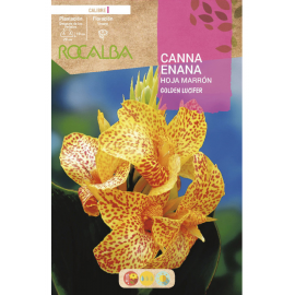 S.BOLBO RO.GAVETA CANAS ENANAS FOLHA CAST- AMARE BUCE3090