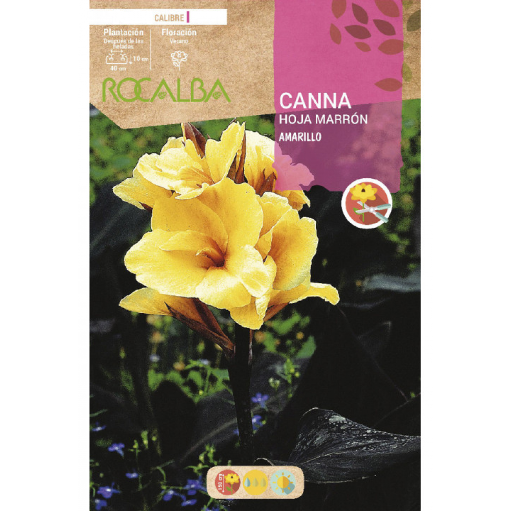 S.BOLBO RO.GAVETA CANAS FOLHA CASTANHA-AMARELO BUCM3050