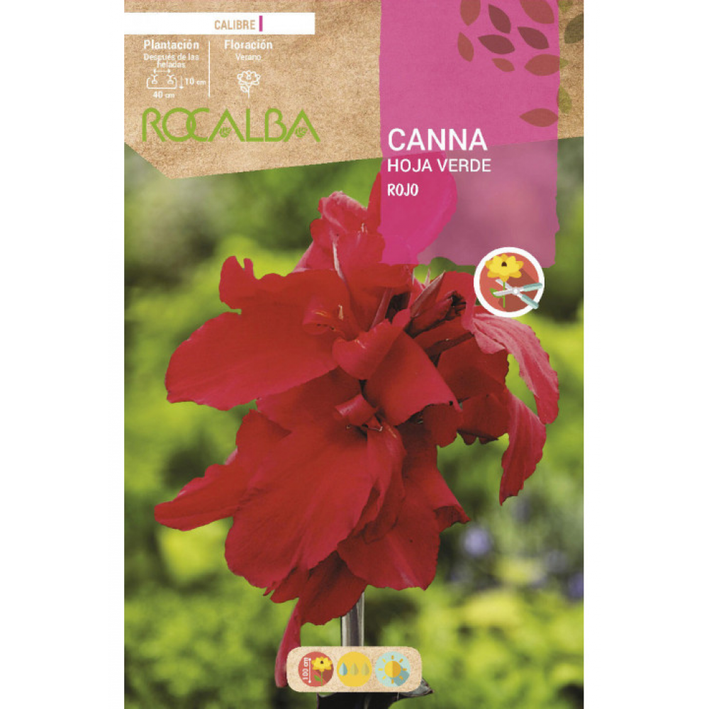 S.BOLBO RO.GAVETA CANAS FOLHA CASTANHA-LARANJA BUCM3055