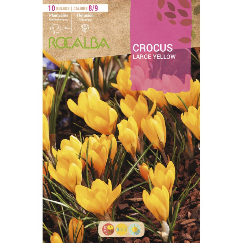 S.BOLBO RO.GAVETA 150 CROCUS LARGE YELLOW -AMARELO<br>BUCR1310
