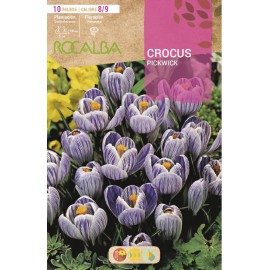 S.BOLBO RO.GAVETA 150 CROCUS PICKWICK -AZUL ESTRIADO DE BRANCO-BUCR1325