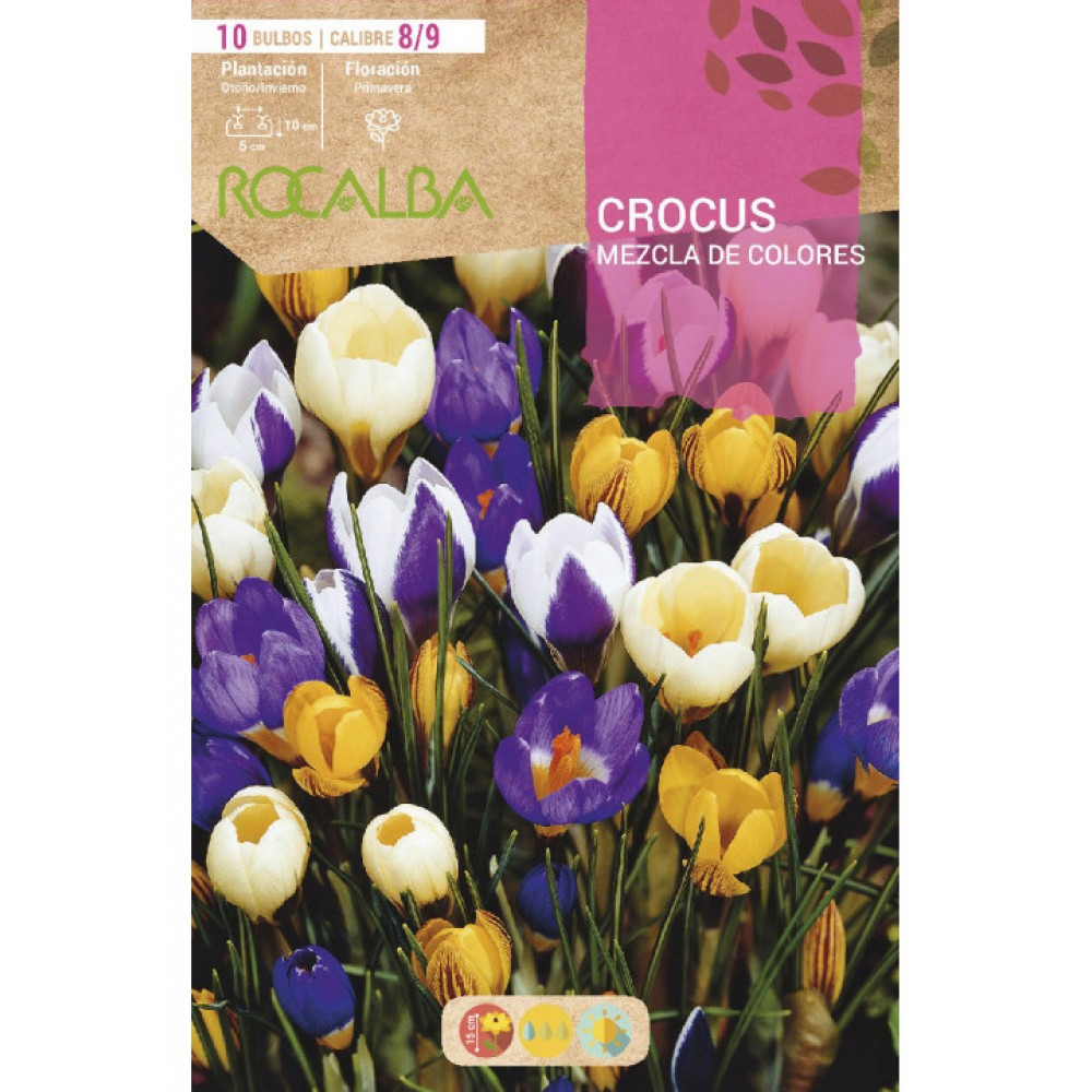 S.BOLBO RO.GAVETA 150 CROCUS - MISTURA DE CORES<br>BUCR1330