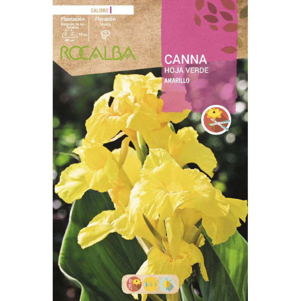 S.BOLBO RO.GAVETA CANAS FOLHA VERDE - AMARELO BUCV3020