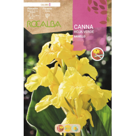 S.BOLBO RO.GAVETA CANAS FOLHA VERDE - AMARELO BUCV3020