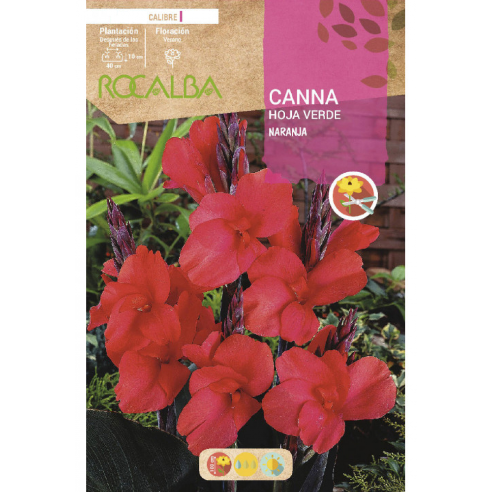 S.BOLBO RO.GAVETA CANAS FOLHA VERDE - LARANJA BUCV3025