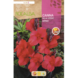 S.BOLBO RO.GAVETA CANAS FOLHA VERDE - LARANJA BUCV3025