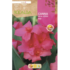 S.BOLBO RO.GAVETA CANAS FOLHA VERDE - ROSA BUCV3030