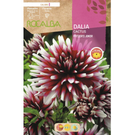 S.BOLBO RO.GAVETA DALIAS PFITZER'S JOKER - BUDC2365