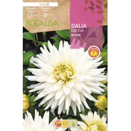 S.BOLBO RO.GAVETA DALIAS BRANCO MY LOVE - BUDC2395