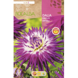 S.BOLBO RO.GAVETA DALIAS CACTUS VERITABLE - BUDC2415