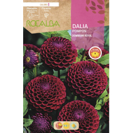 S.BOLBO RO.GAVETA DALIAS POMPON DOWNHAM ROYAL -BUDP2485