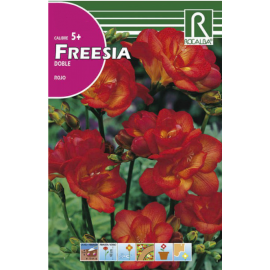 S.BOLBO RO.GAVETA 150 FRESIAS DOBRADA VERMELHO -BUFD1475