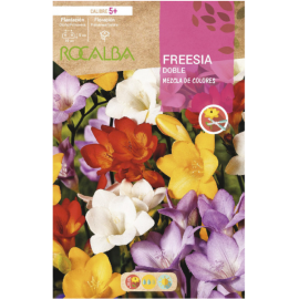 S.BOLBO RO.GAVETA 150 FRESIAS DOBRADA MISTURA DE CORES -BUFD1480