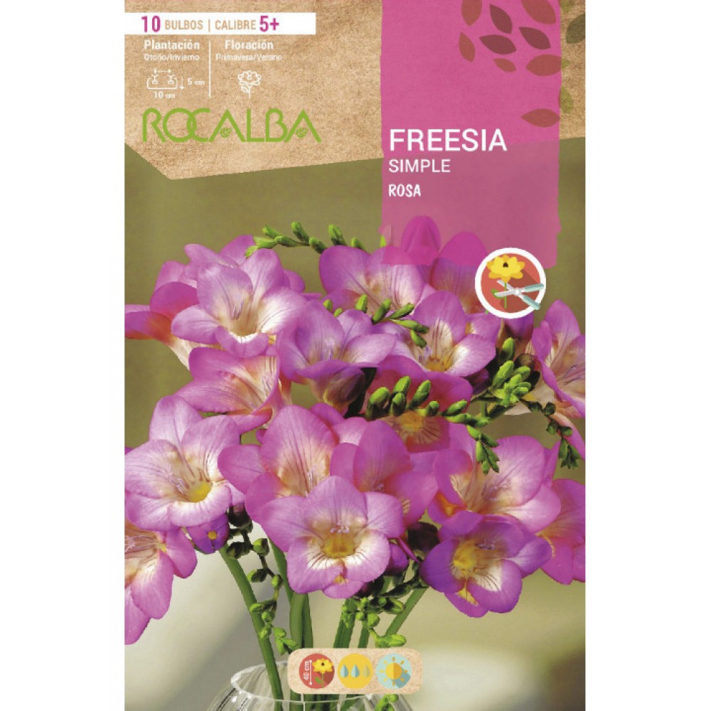 S.BOLBO RO.GAVETA 150 FRESIAS SIMPLES VERMELHA<br> -BUFD1430