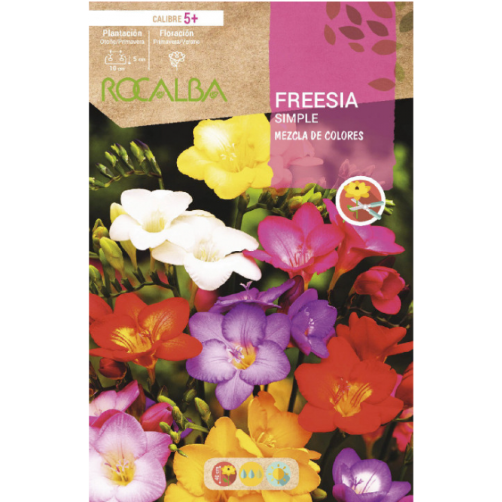 S.BOLBO RO.GAVETA 150 FRESIAS SIMPLES MISTURA DE CORES -BUFD1435