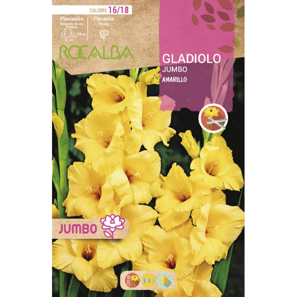 S.BOLBO RO.GAVETA GALADIOLO JUMBO AMARELO -BUGJ2205