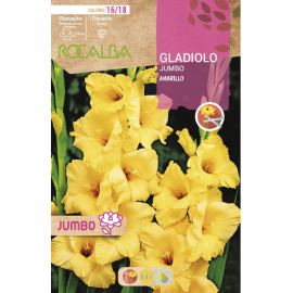 S.BOLBO RO.GAVETA GALADIOLO JUMBO AMARELO -BUGJ2205