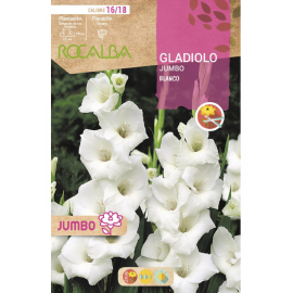S.BOLBO RO.GAVETA GALADIOLO JUMBO BRANCO -BUGJ2210